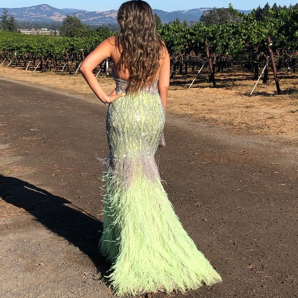 Teani couture gown size 8 - Picture 2 of 3